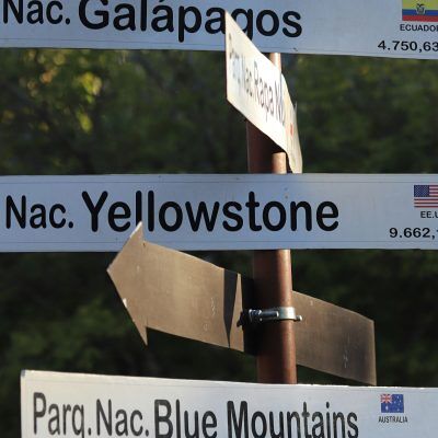 Image of home repair tools